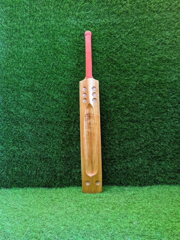 P3 cricket bat