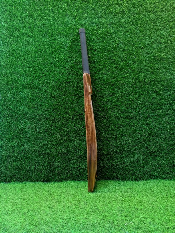 P3 Big Bull edition cricket bat