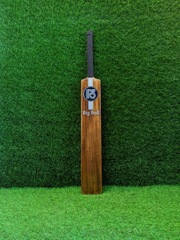P3 Big Bull edition cricket bat