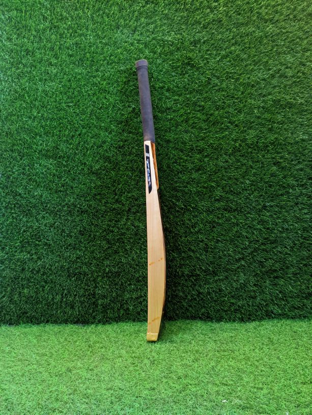 P3 Special Edition cricket bat
