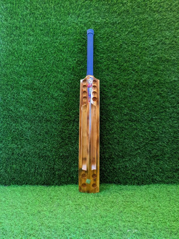 P3 Player Edition cricket bat
