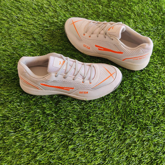 Booster Cricket shoe
