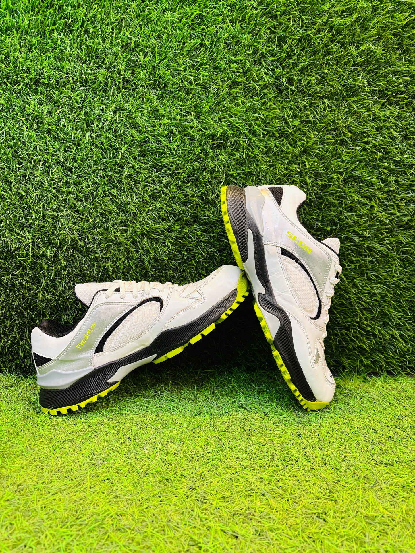 PREDATOR Cricket shoe
