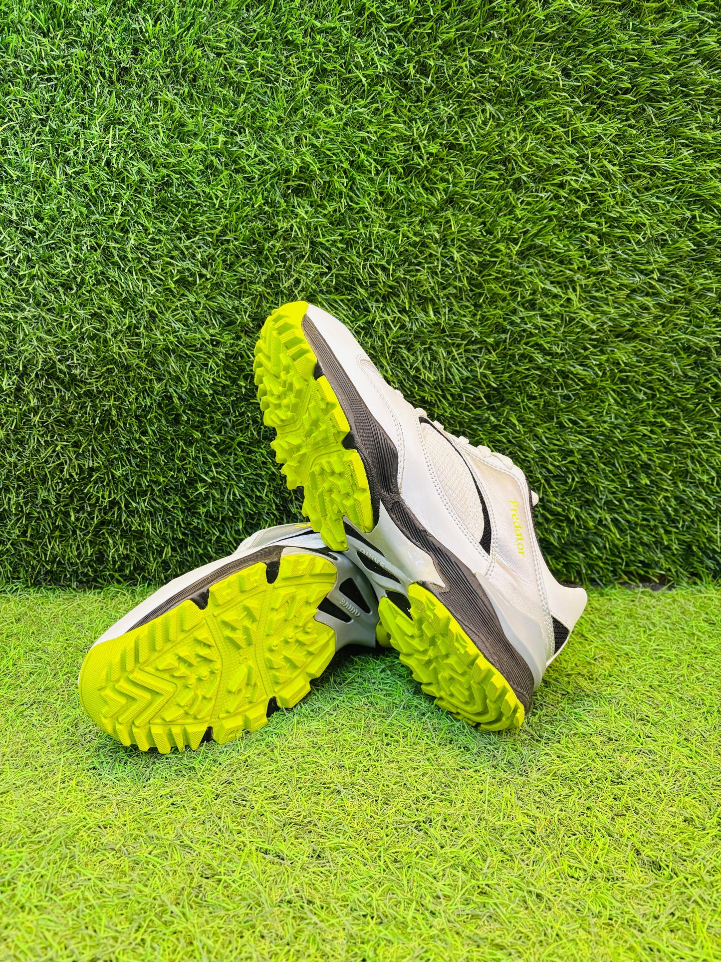 PREDATOR Cricket shoe