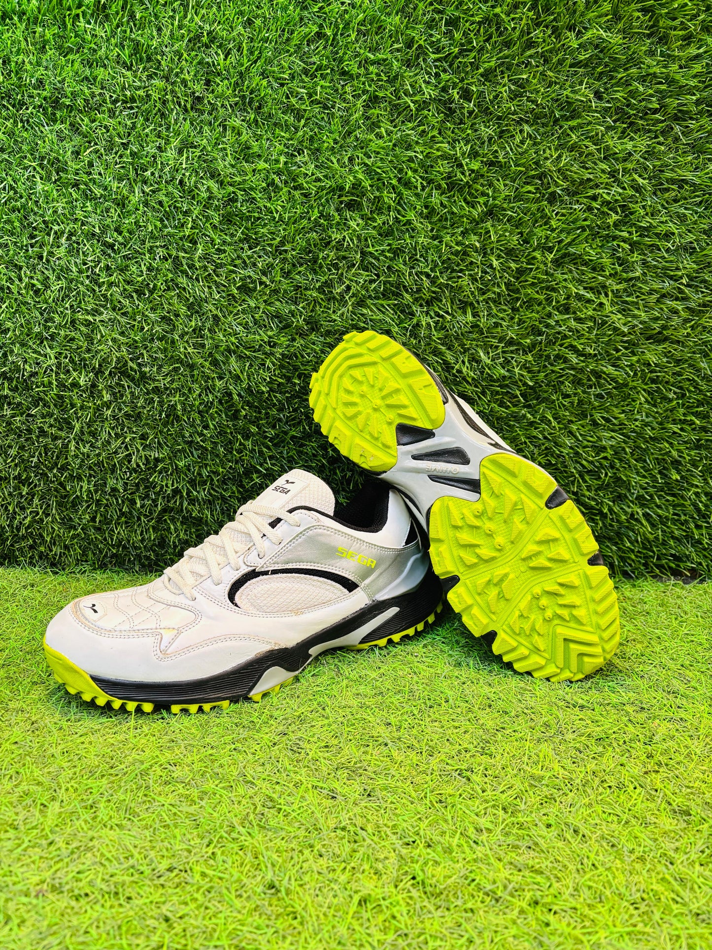 PREDATOR Cricket shoe