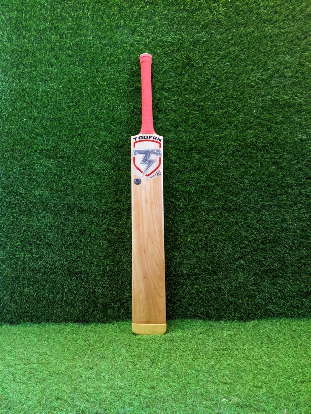P3 Bijli edition cricket bat